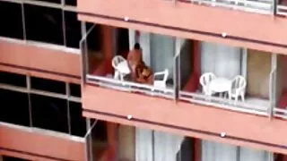 A enfermeira carinho ...