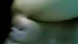 Garanhão negro e seu ...