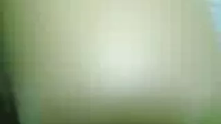 Cadelas excêntricas  ...