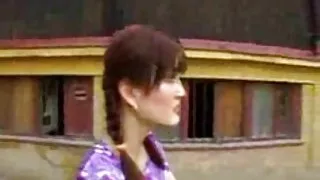 Pequena cadela asiát ...