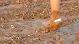 A garota do vídeo po ...