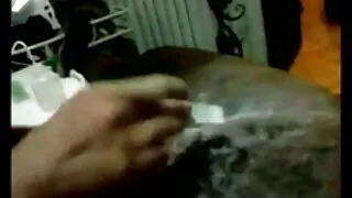 Garota encantadora K ...