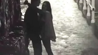 Cadela morena flexív ...