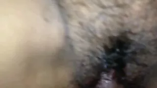 A cadela insaciável  ...