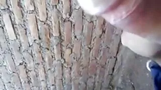 Cadelas atrevidas co ...