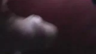 Duas gatas escaldant ...